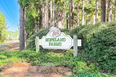 806 Starbuck Drive, Aiken, SC 29803 - Photo 28