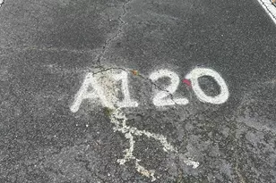 1017 Stevens Creek Rd, Augusta, GA 30907 - Photo 14