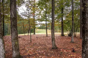 85 Shooting Match Ln, North Augusta, SC 29860 - Photo 60