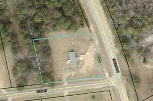 10199 Ga Hwy 296, Stapleton, GA 30823 - Photo 30