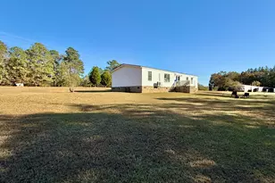 10199 Ga Hwy 296, Stapleton, GA 30823 - Photo 28