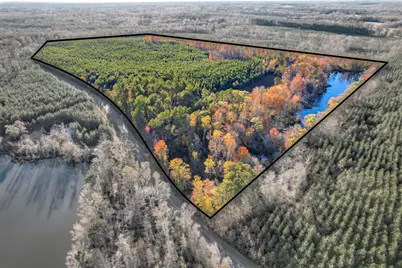 4099 Randall Hunt Road, Dearing, GA 30808 - Photo 6