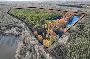 4099 Randall Hunt Rd, Dearing, GA 30808 - Photo 6