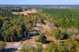 1225 Davis Bridge Rd, Williston, SC 29853 - Photo 58