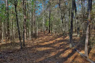 1066 Pine Point Ln, Tignall, GA 30668 - Photo 56