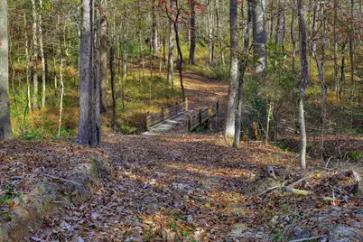 1066 Pine Point Lane, Tignall, GA 30668 - Photo 54