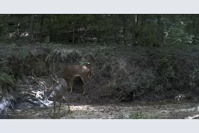 4676 Oakley Pirkle Road, Martinez, GA 30907 - Photo 38