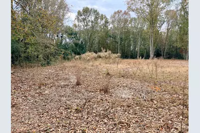 00 Hedge Road, Aiken, SC 29801 - Photo 2
