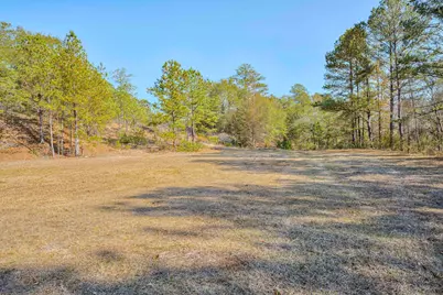 5974 Deans Bridge Road, Blythe, GA 30805 - Photo 46