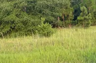 5584 Rosemont Dr, Appling, GA 30802 - Photo 10