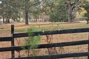 411 Georgia Rd, Edgefield, SC 29824 - Photo 44