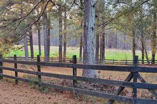 411 Georgia Rd, Edgefield, SC 29824 - Photo 48