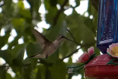 3042 Johnny Court, Augusta, GA 30906 - Photo 52