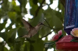 3042 Johnny Ct, Augusta, GA 30906 - Photo 52