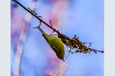 3042 Johnny Court, Augusta, GA 30906 - Photo 46