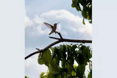 3042 Johnny Court, Augusta, GA 30906 - Photo 54