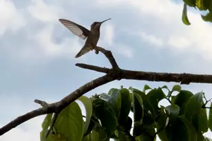 3042 Johnny Ct, Augusta, GA 30906 - Photo 54