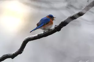 3042 Johnny Ct, Augusta, GA 30906 - Photo 48