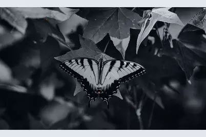 3042 Johnny Court, Augusta, GA 30906 - Photo 50