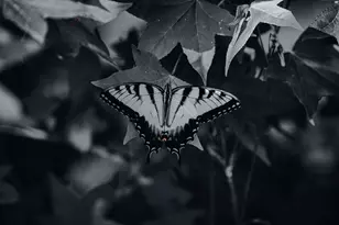 3042 Johnny Ct, Augusta, GA 30906 - Photo 50