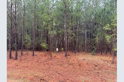 1060 Longleaf Way, Lincolnton, GA 30817 - Photo 1