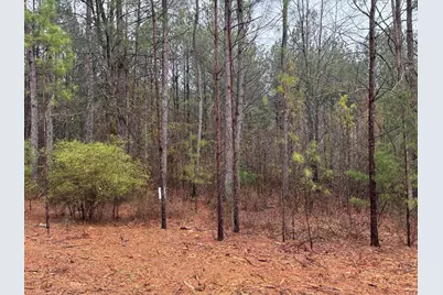 1094 Longleaf Way, Lincolnton, GA 30817 - Photo 1