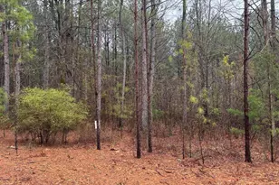 1094 Longleaf Wy, Lincolnton, GA 30817 - Photo 1