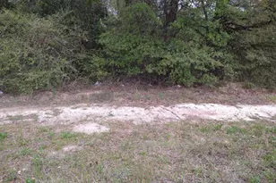 4654/4656 Mike Padgett Hwy, Augusta, GA 30906 - Photo 1