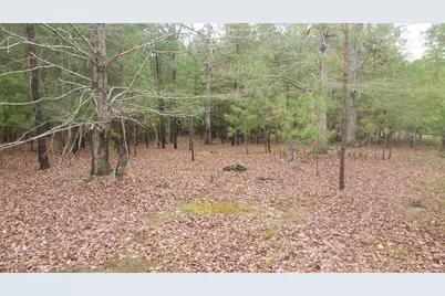 13 Forest Lake Dr Drive, Lincolnton, GA 30817 - Photo 1