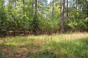 0 Double Branches, Lincolnton, GA 30817 - Photo 1