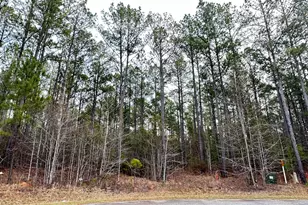 Lot C112 Dock Side Ln, Lincolnton, GA 30817 - Photo 1