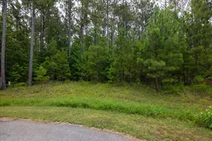 Lot 114 Dock Side Ln, Lincolnton, GA 30817 - Photo 1