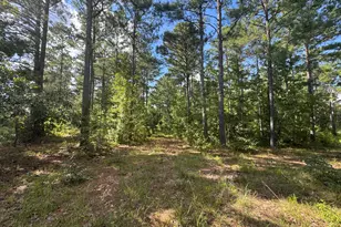 33Ac Cross Creek, Edgefield, SC 29824 - Photo 1