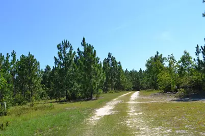 5308 Enigma Drive, Windsor, SC 29856 - Photo 1