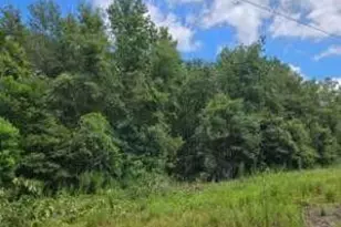 4A Turner, Beech Island, SC 29842 - Photo 1