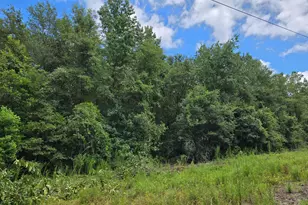 Tbd 11Ac Bay St, Beech Island, SC 29842 - Photo 1