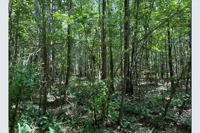 Tbd 8.5 Ac Atomic, Beech Island, SC 29842 - Photo 1