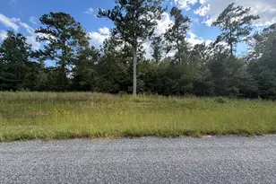 0 Thankful Church Rd, Lincolnton, GA 30817 - Photo 1