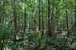 24Ac Atomic, Beech Island, SC 29842 - Photo 1