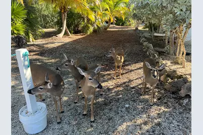 1540 Lantana Lane, Big Pine, FL 33043 - Photo 16