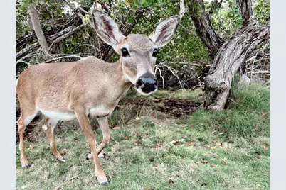 3746 Park Avenue, Big Pine, FL 33043 - Photo 52