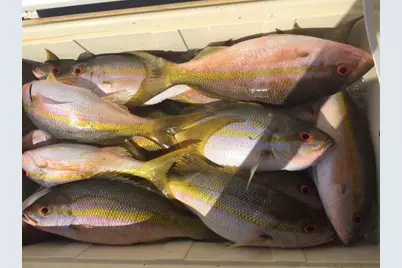 500 Burton Drive #4203, Tavernier, FL 33070 - Photo 26