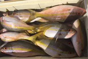 500 Burton Dr, Tavernier, FL 33070 - Photo 26