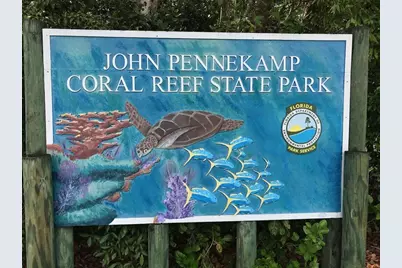 464 Lime Drive, Key Largo, FL 33037 - Photo 96