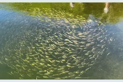 88500 Overseas Highway #501, Islamorada, FL 33070 - Photo 38