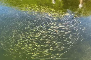 88500 Overseas Hwy, Islamorada, FL 33070 - Photo 38