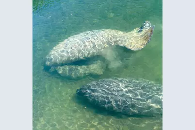 88500 Overseas Highway #501, Islamorada, FL 33070 - Photo 40