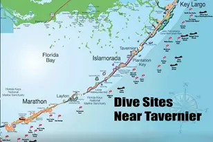 159 Atlantic Cir Dr, Tavernier, FL 33070 - Photo 36