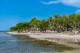 88 W Plaza Del Lago, Islamorada, FL 33036 - Photo 112