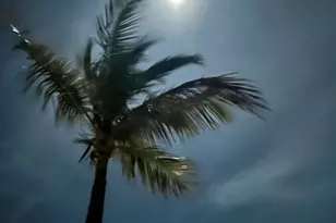 120 Toner Ln, Islamorada, FL 33036 - Photo 68